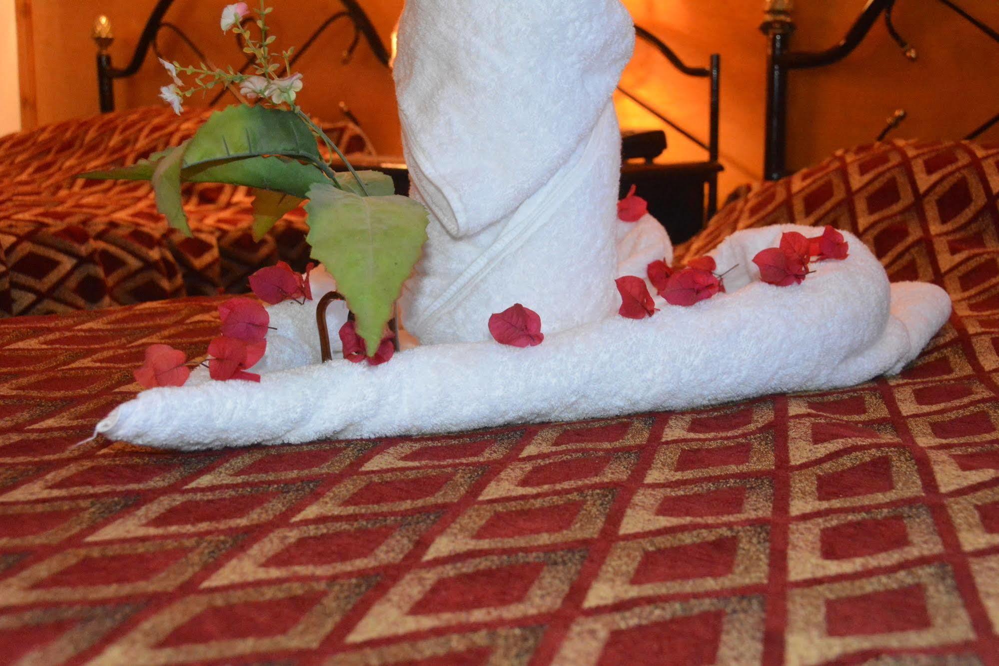 לוקסור El Gezira Hotel מראה חיצוני תמונה