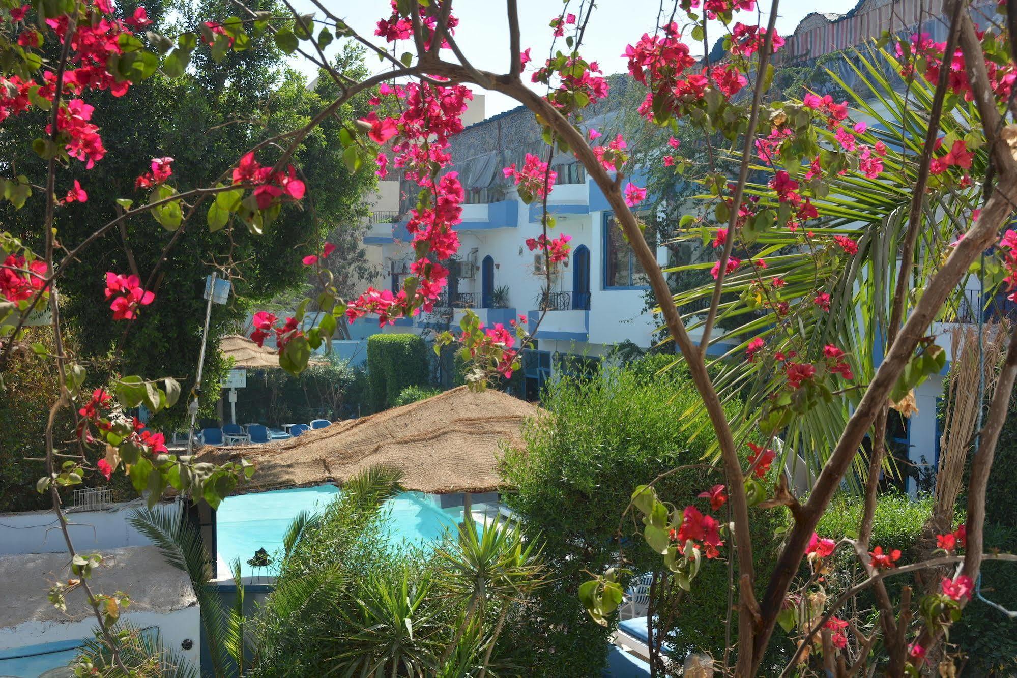 לוקסור El Gezira Hotel מראה חיצוני תמונה